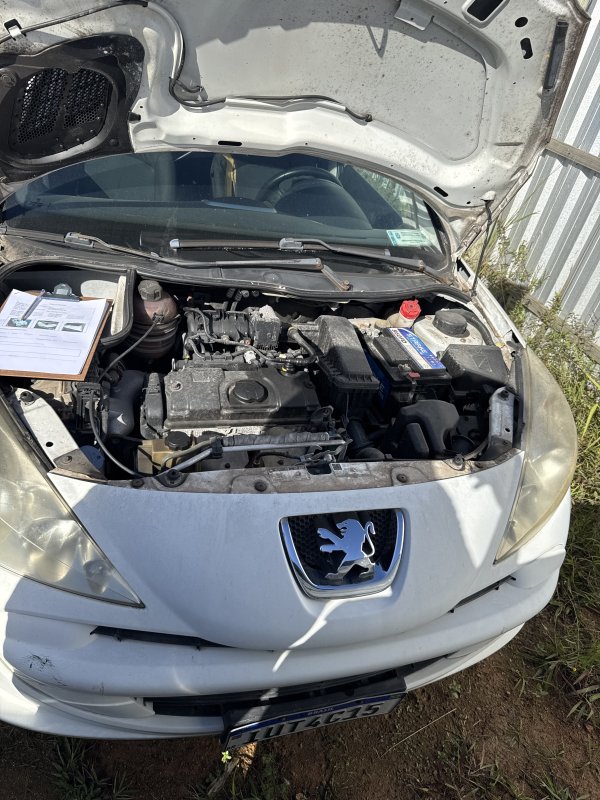Foto de PEUGEOT/207 PAS ACTIVE